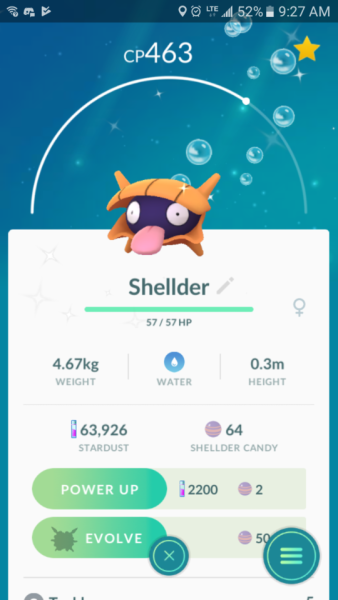 Shiny Shellder Tumblr