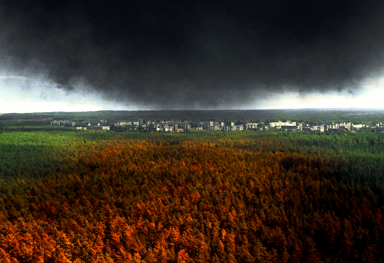 Припять рыжий лес фото 1986