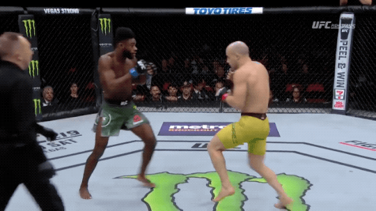 UFC FN 123: Marlon Moraes vs. Aljamain Sterling âNasty knee knockout! â