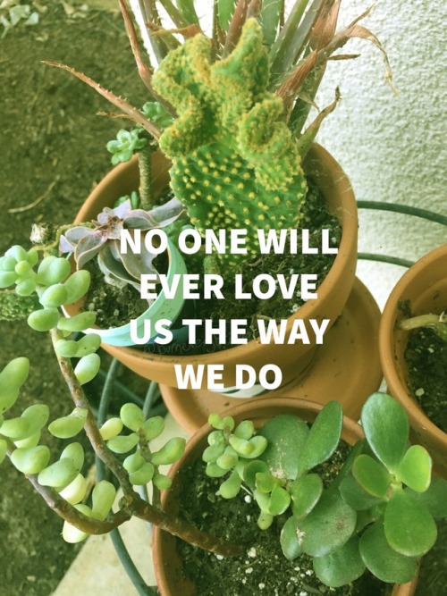 emo cactus | Tumblr