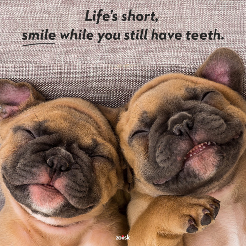 worldsmileday smile smiles allsmiles keepsmiling endorphins lifeisshort happy