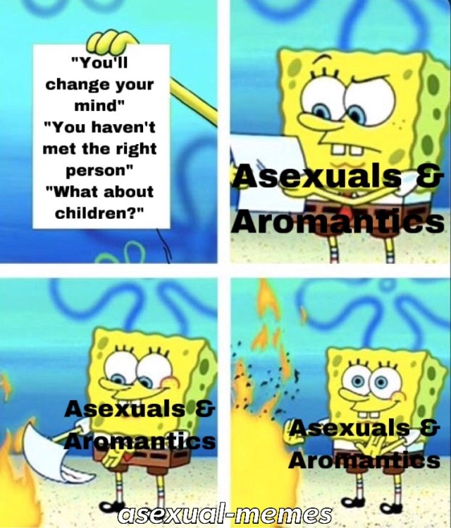 Asexual Memes On Tumblr
