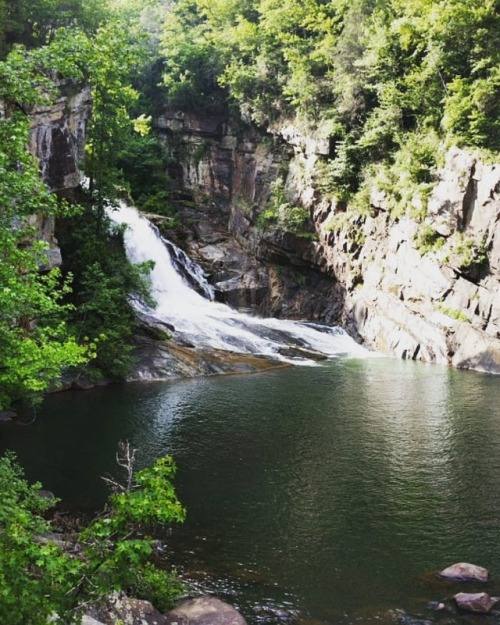 Tallulah Gorge in North GA is a must see! It’s such a fun...