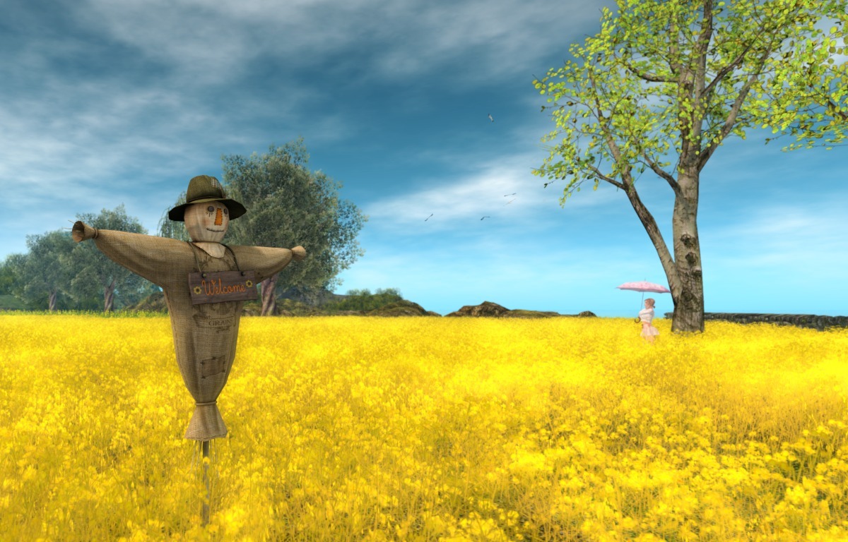 A woman visiting the field of yellow floers in Whimberly