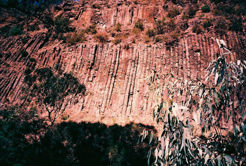 Organ Pipes National Park Tumblr