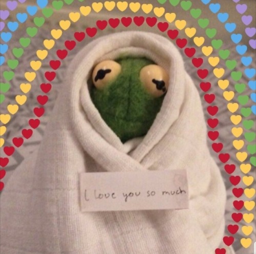 cutekermit:kermit loves love 