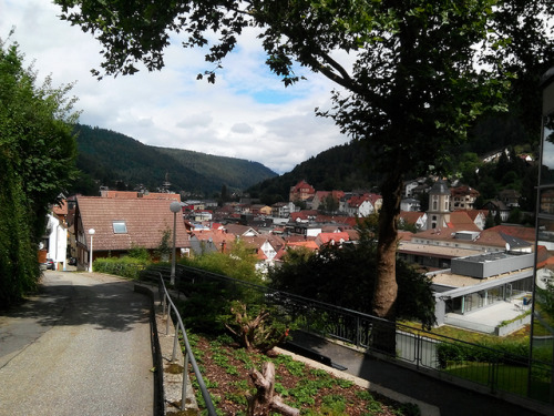 We went to the Black Forest this year for a mini get away. The...