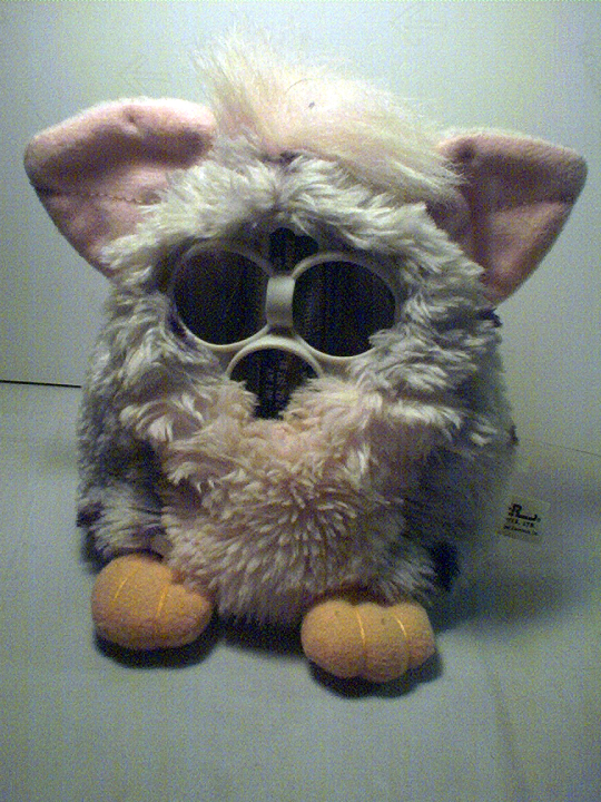 furby on Tumblr