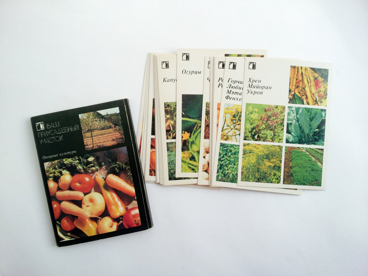 Full set of 24 vintage postcards with pictures of vegetables and herbs. Published in 1985. (buy on etsy)