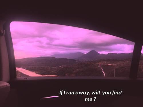 xpurpleaesx:run away, run away with me 