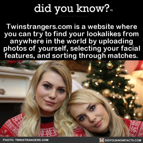 twinstrangerscom-is-a-website-where-you-can-try
