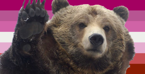 dykedva:Request: A bear themed lesbian flag for anonymous!...