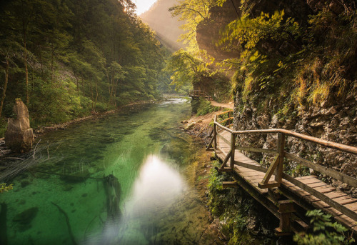 allthingseurope:Vintgar Gorge, Slovenia (by arenas23)