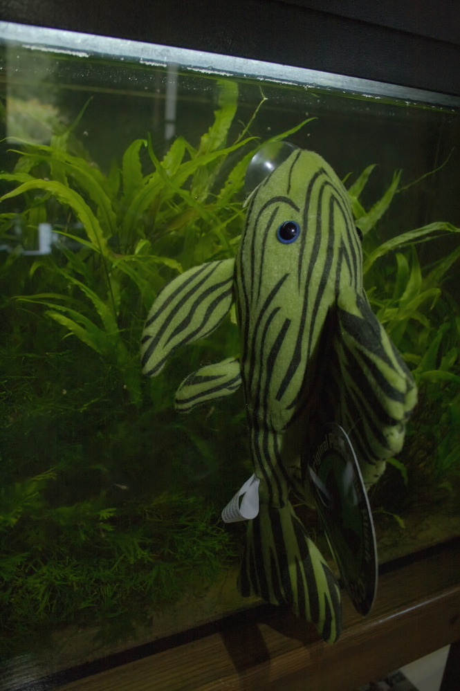 green pleco plush