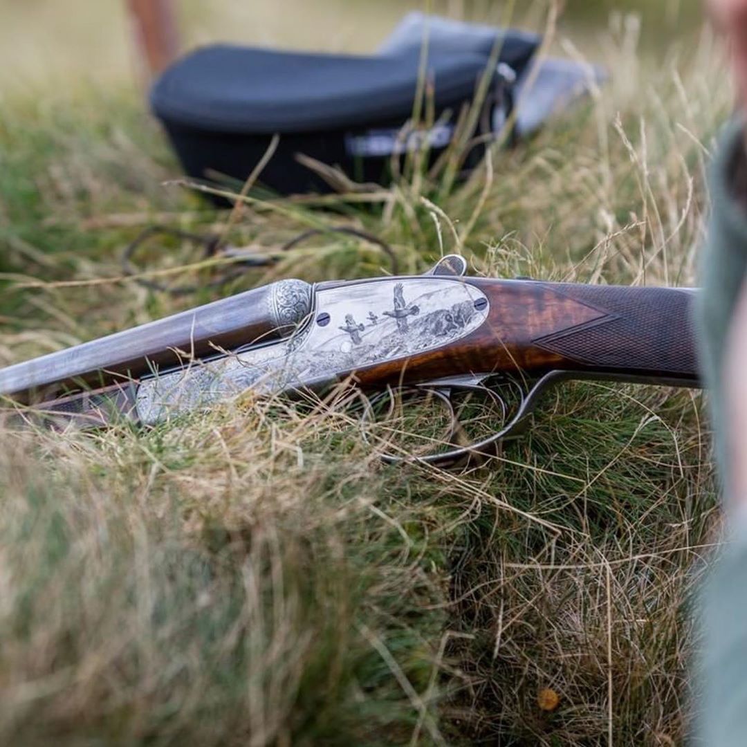 Gentleman Bobwhite: Photo