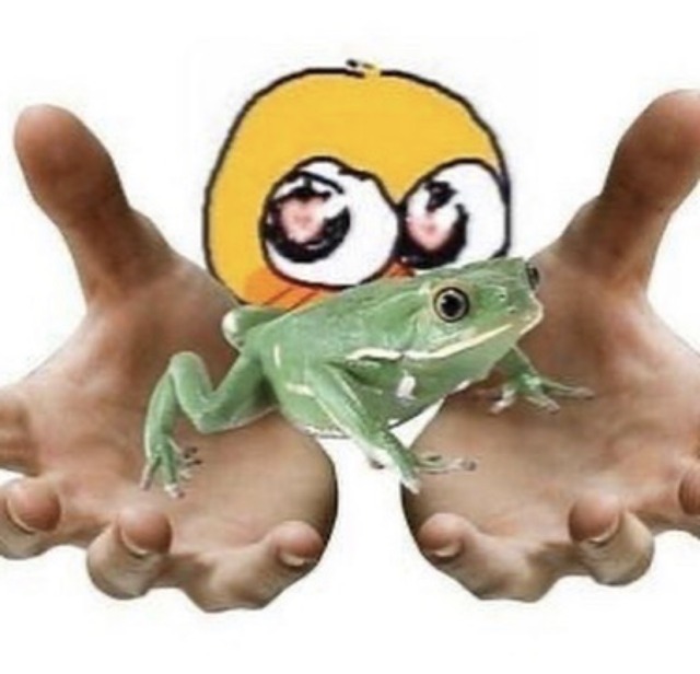 turn the frogs gay download