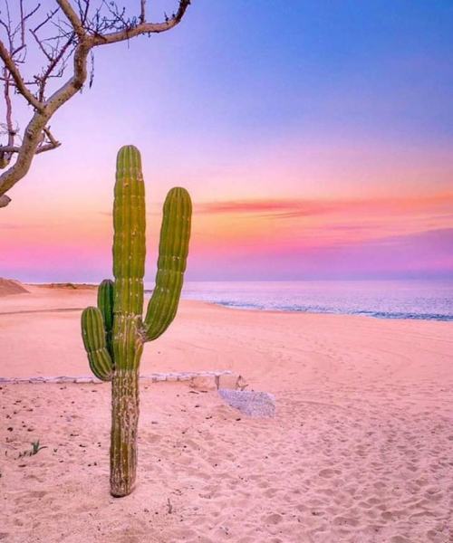 mexicoporsiempre