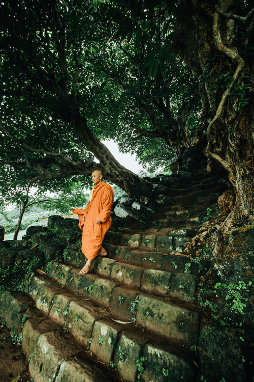 samhorine:stairway to heaven // the iconic vat phou unesco...