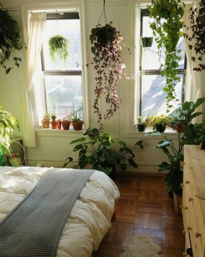 dreamy bedroom with so many plants!