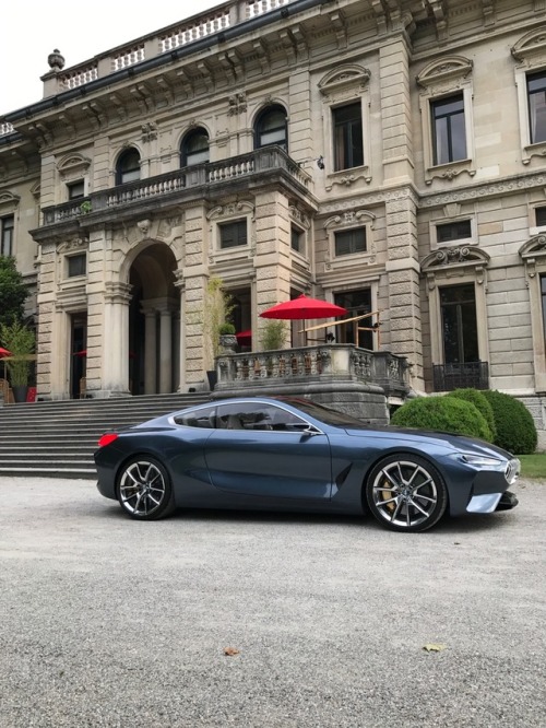 bmwusaclassic:The first sunlight photos of the BMW Concept 8...