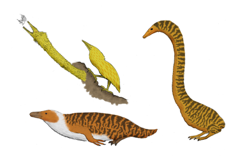 The New Dinosaurs An Alternative Evolution Tumblr - 