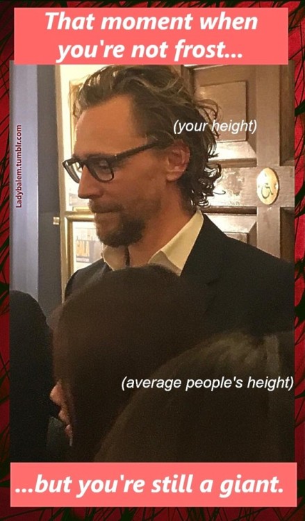 tom hiddleston meme on Tumblr