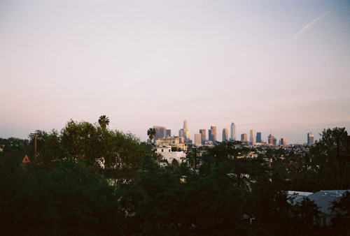 losangeles:View of Downtown Los Angeles from Silverlake