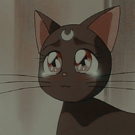 sailor moon cat icons | Tumblr