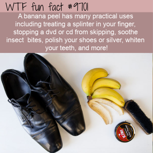 A banana peel has many practical uses including treating a splinter in your finger, stopping a dvd or cd from skipping, soothe insect  bites, polish your shoes or silver, whiten your teeth, and more! 