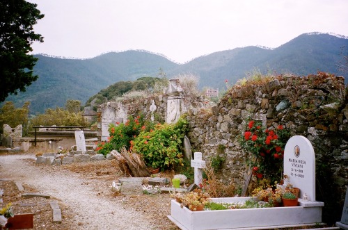 wornpath:cinque terre, italy