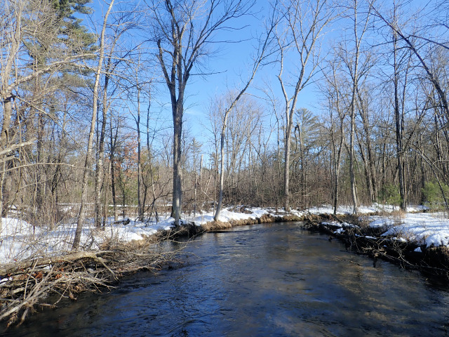 Pine river фото