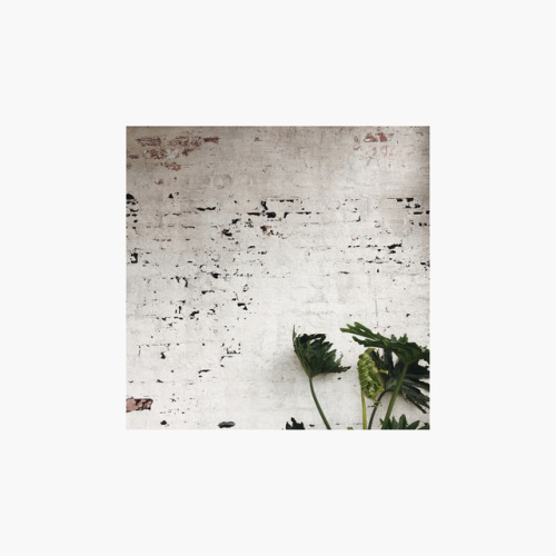 modestfashion minimalism minimal aesthetic texture nature