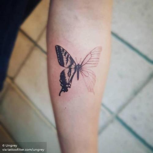 By Ungrey, done in Seoul. http://ttoo.co/p/226088 insect;small;butterfly;animal;tiny;ungrey;ifttt;little;inner forearm;illustrative