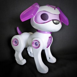 luciana's robotic dog