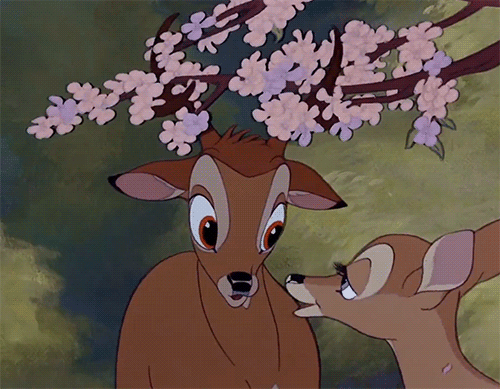 thumper bambi tumblr