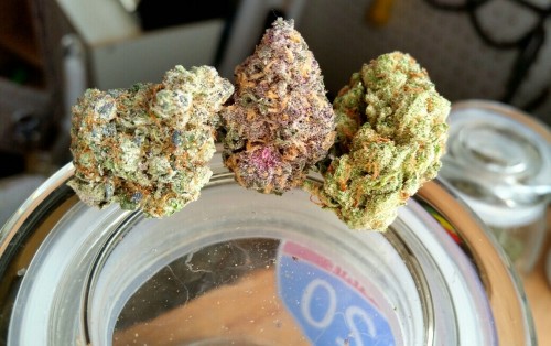 cloudyheadedstoner:Glookies | Grape Gods | Jack the Ripper