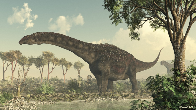 diamantinasaurus matildae