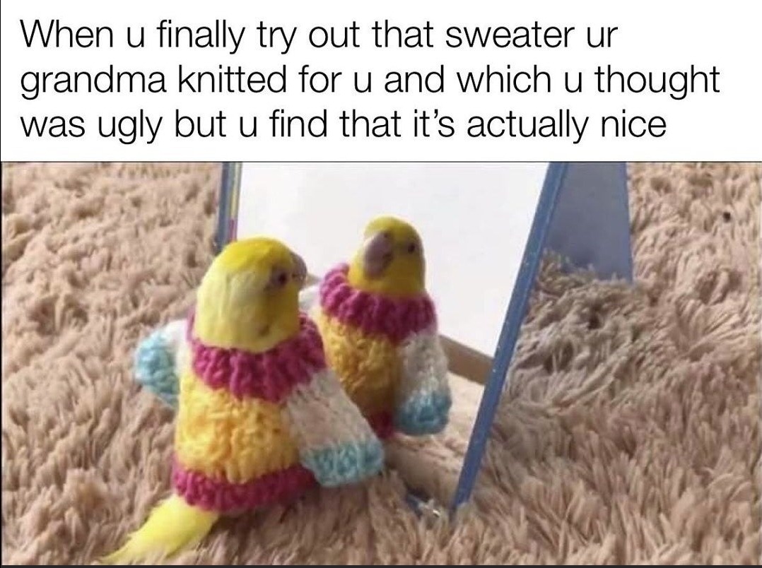 Grandma Sweater Funny Memes
