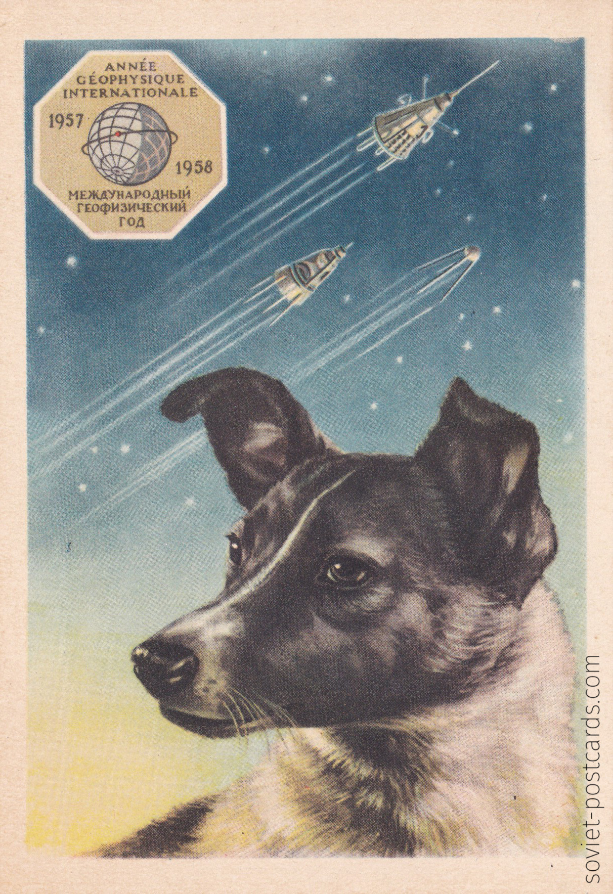 Laika by Yevgeny Gundobi, rare collectible Soviet postcard (1957)