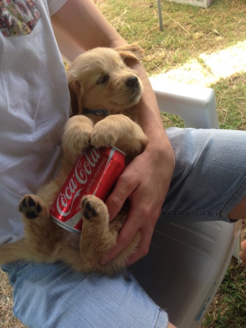 stunningpicture:How we beat the heat in Australia. Ice cold can...