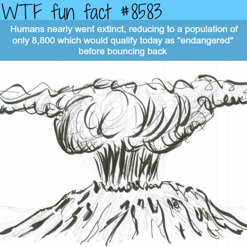 Human extinction - WTF fun facts