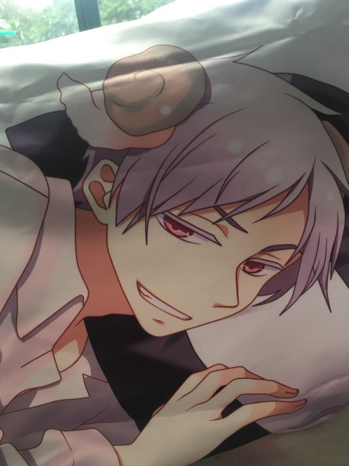 I got this body pillow of Prussia and I have to cover it up and...