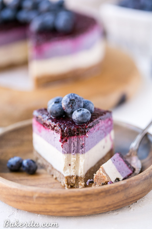 Blueberry Cheesecake