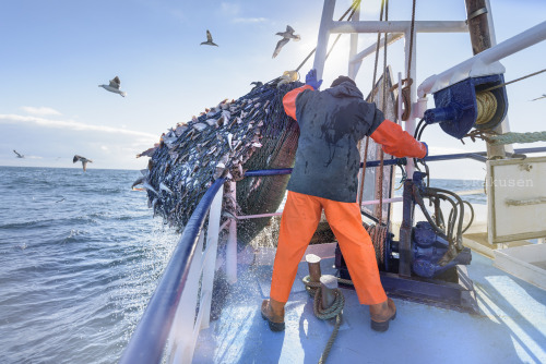 What to do when your assistant is seasick!Well, what can you do?...