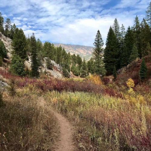 The trail goes on and on. #fall #idaho #hiking #trail...