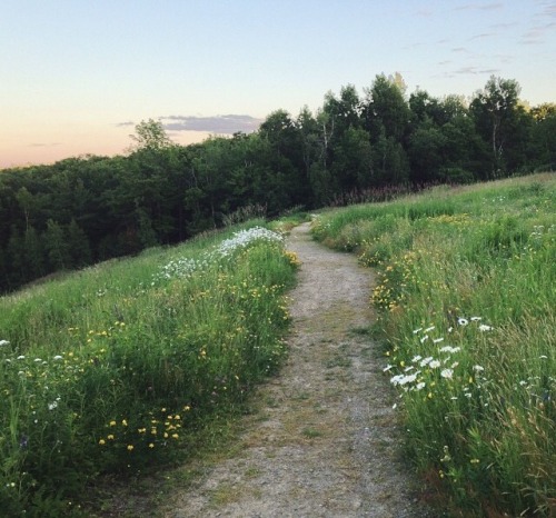 kelll-y:Washington is a magical fairy kingdom