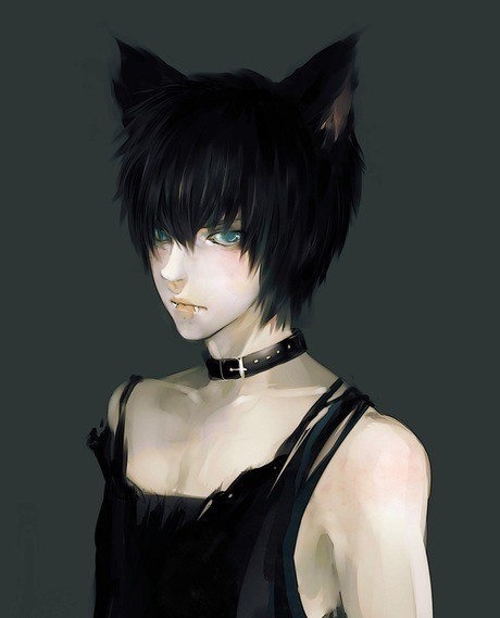 neko boy on Tumblr