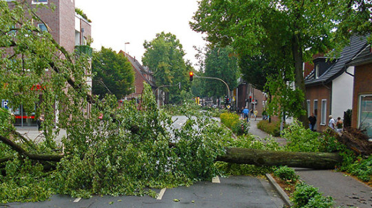Hazard assessment to prevent tree damage or failure during severe weather
