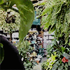Voir un profil - Caspian Swanson Tumblr_inline_oqe289TR4d1twqgs8_500