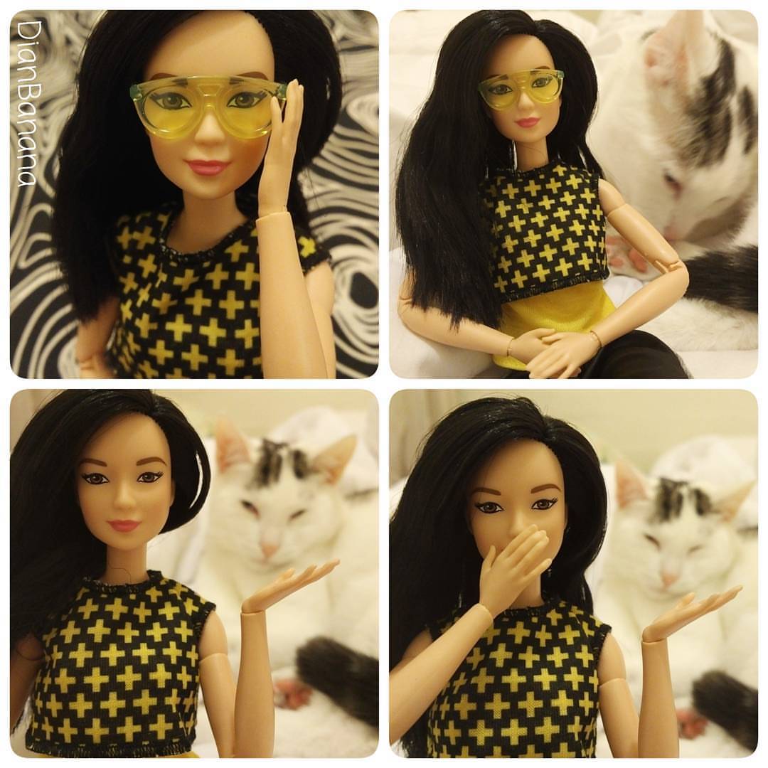 crazy cat lady barbie doll